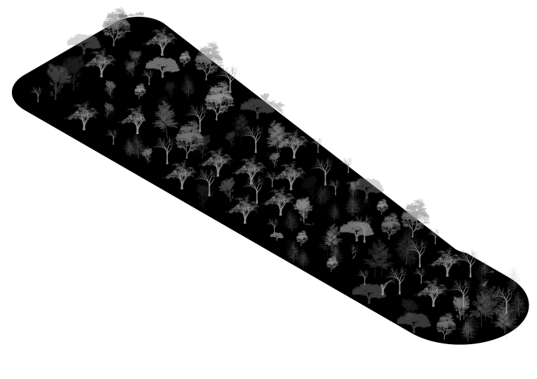 Amenidades Ajedrea